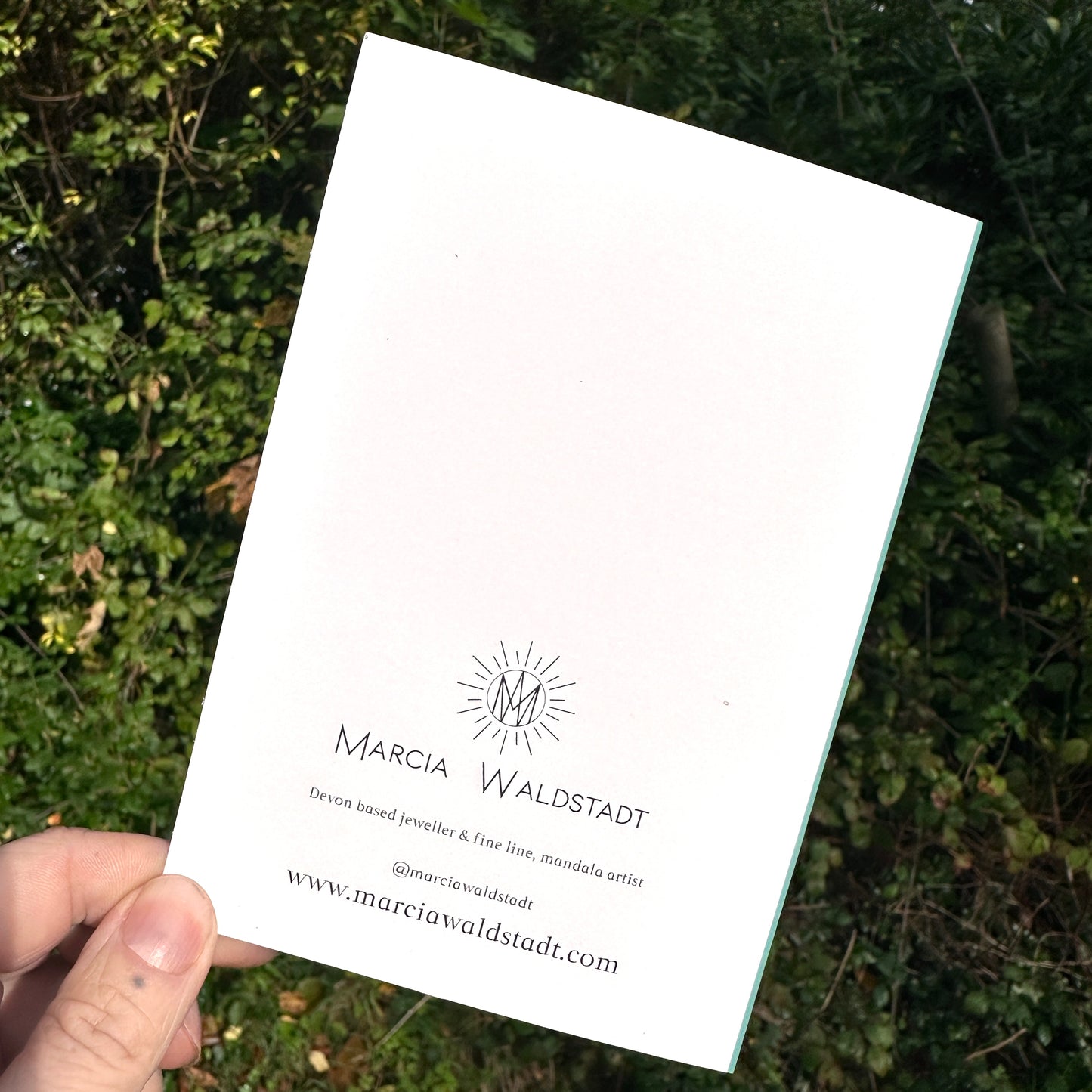 Festive Fox, Greeting Card, A6