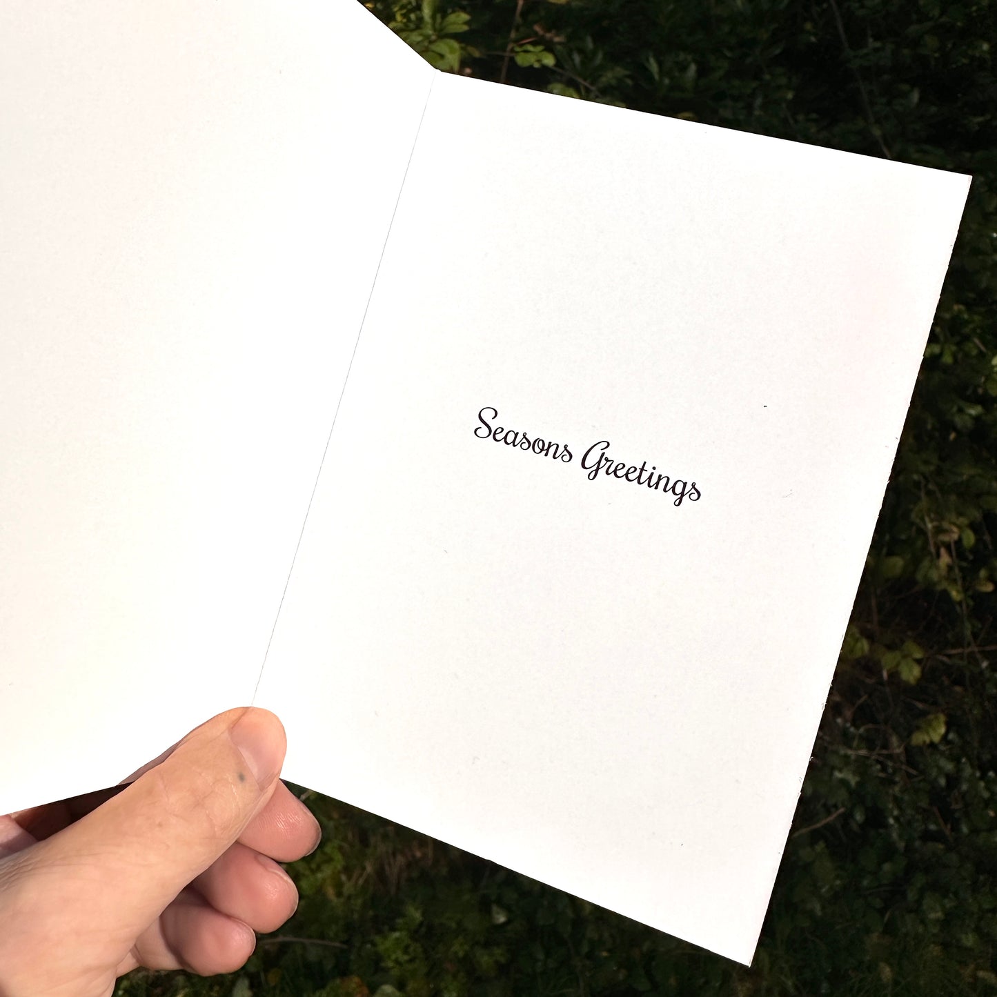 Festive Fox, Greeting Card, A6