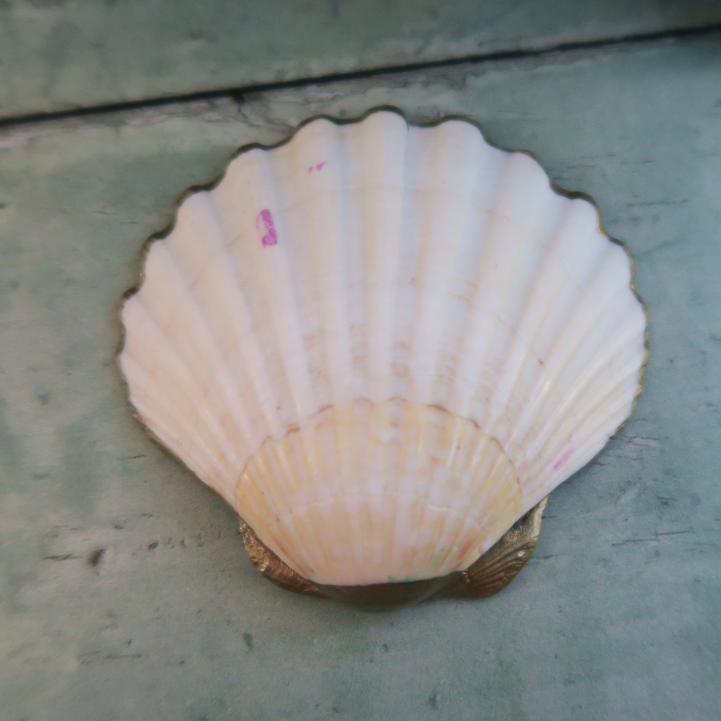 Small Hand Painted Boho Blues Shell Ring Trinket Dish