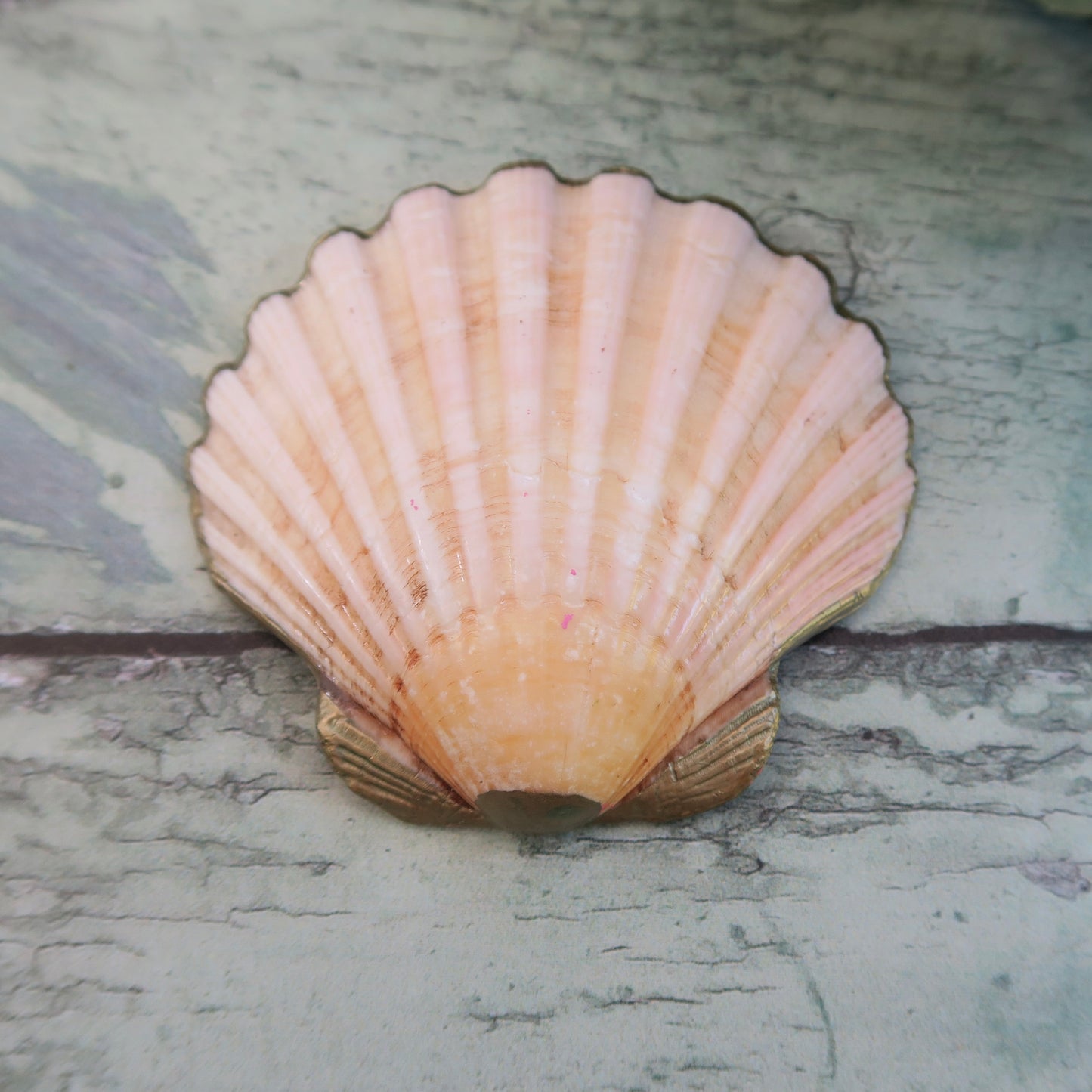 Small Hand Painted Pink Nouveau Shell Ring Trinket Dish